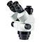 trinocular microscope head